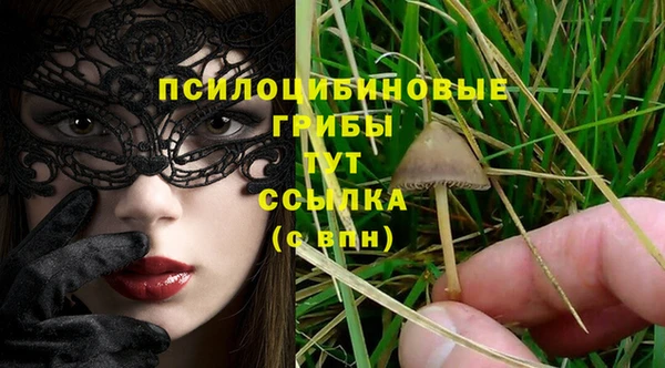 мяу мяу мука Абинск